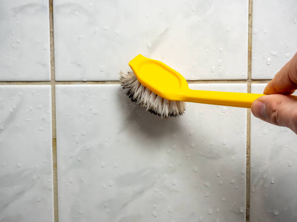 Best Health and Safety Mold Remediation in South Coventry, CT