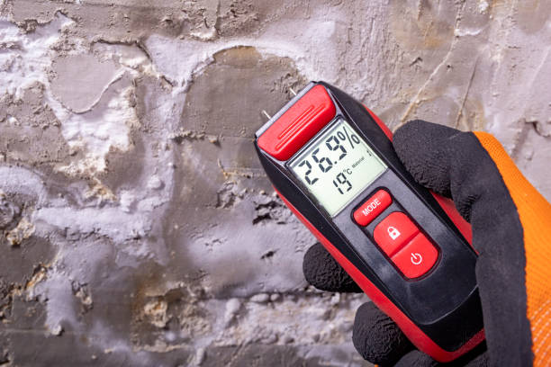 Best Industrial Mold Remediation in South Coventry, CT
